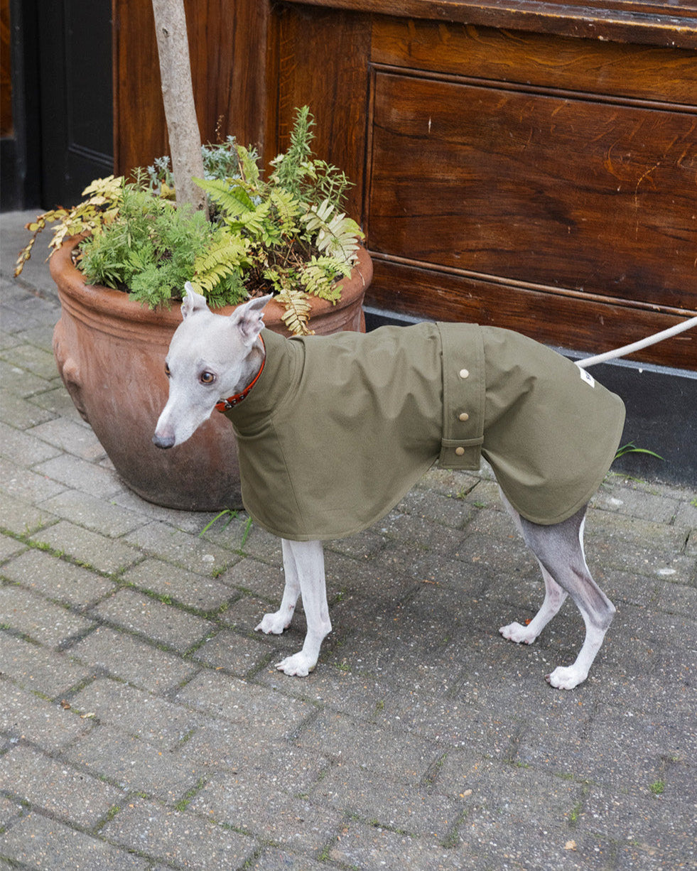 The side view of the Whippet Raincoat in Olive