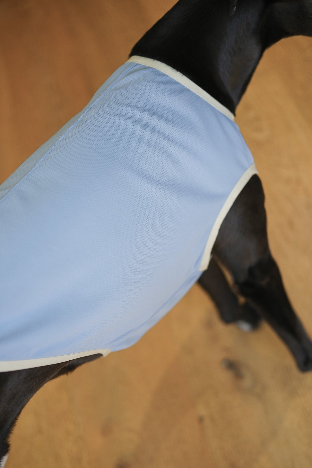 Dog Cooling Vest 2.0