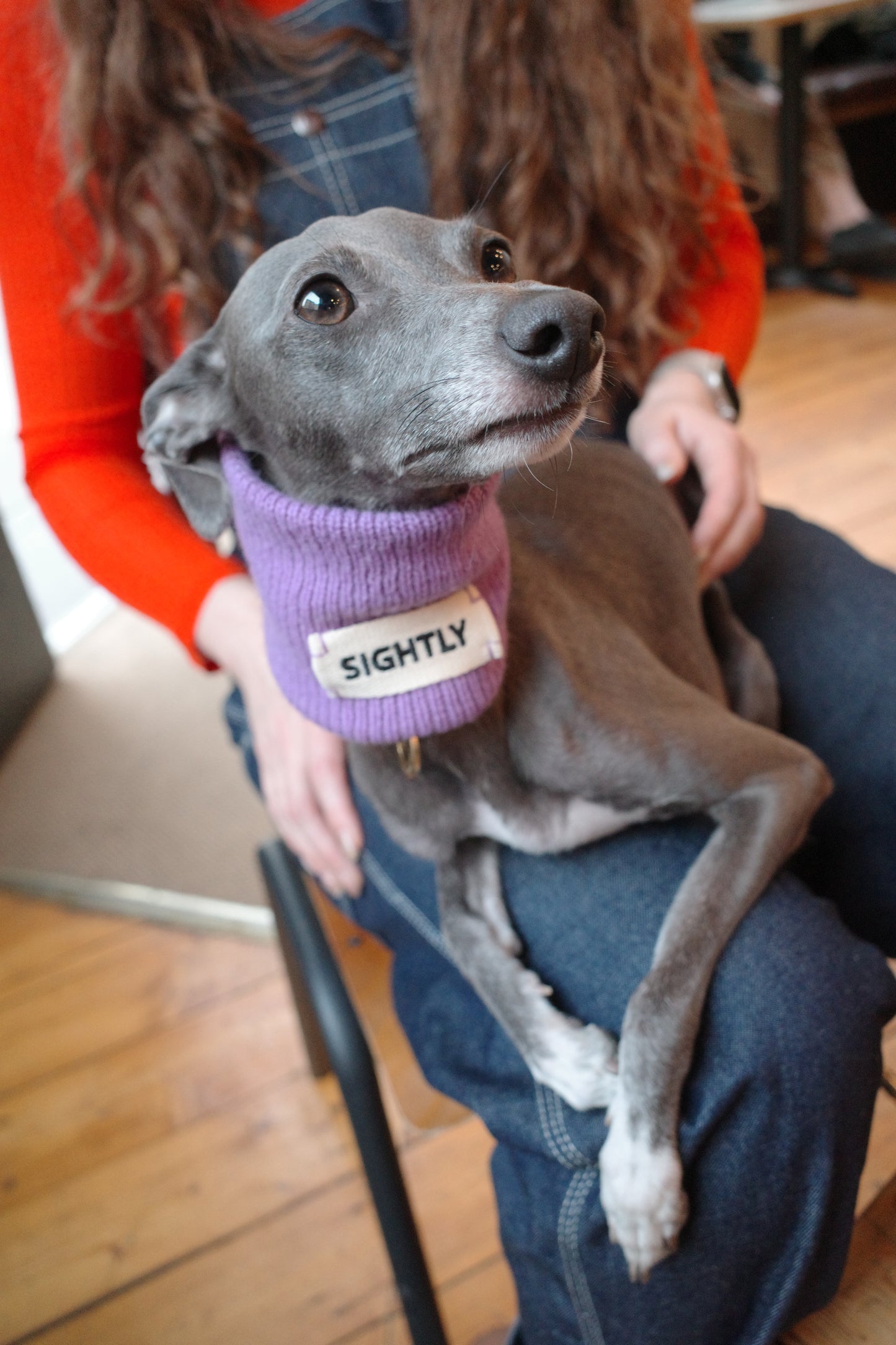 Snood