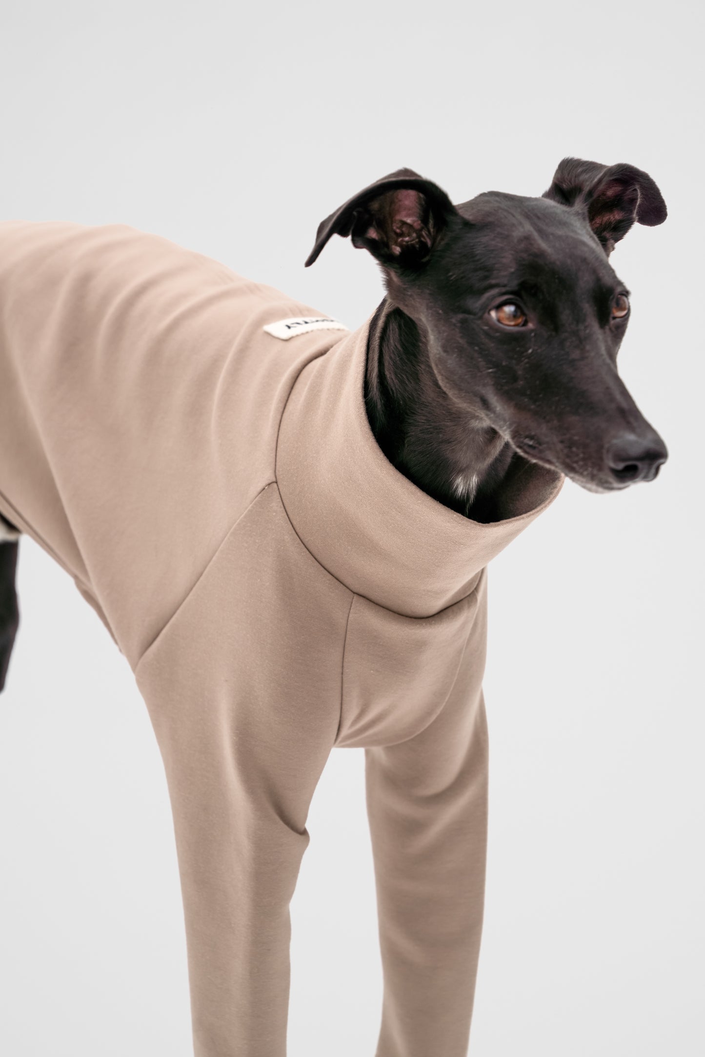 2-Legged Jumper in Beige