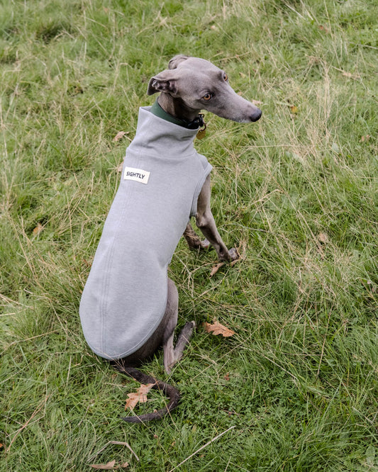 The back side of a grey whippet wearing Sleeveless Whippet Jumper in Grey