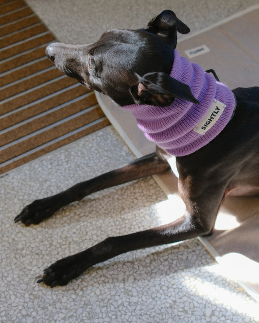Whippet accessories - Purple whippet snood