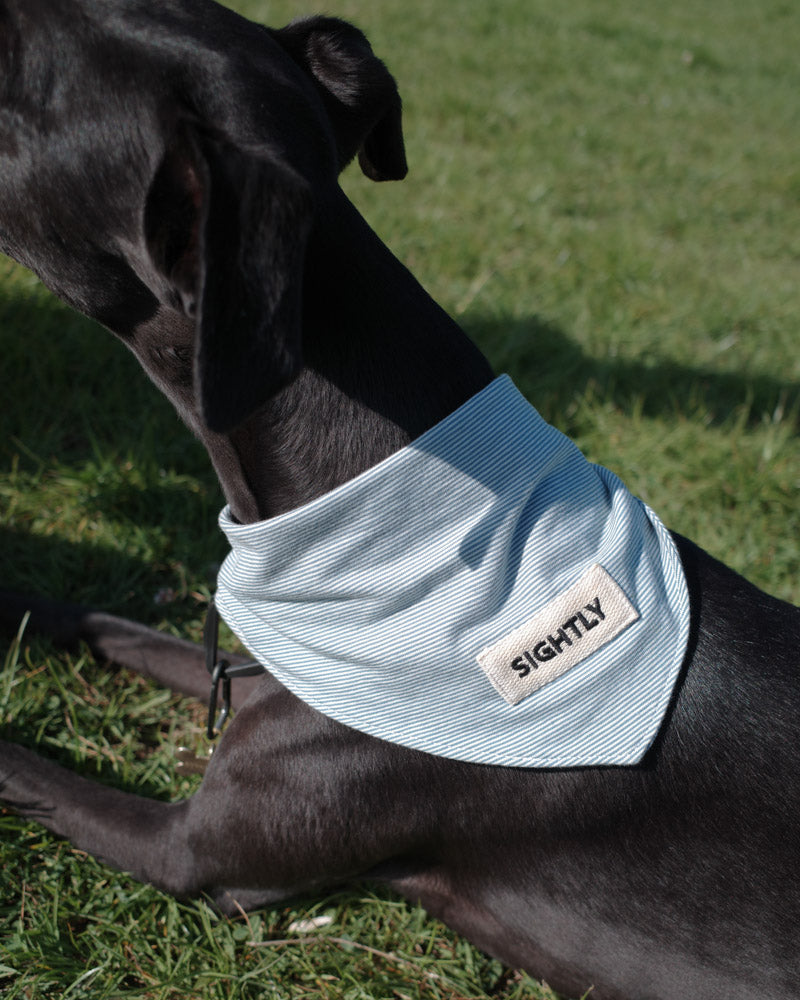 Summer Bandana