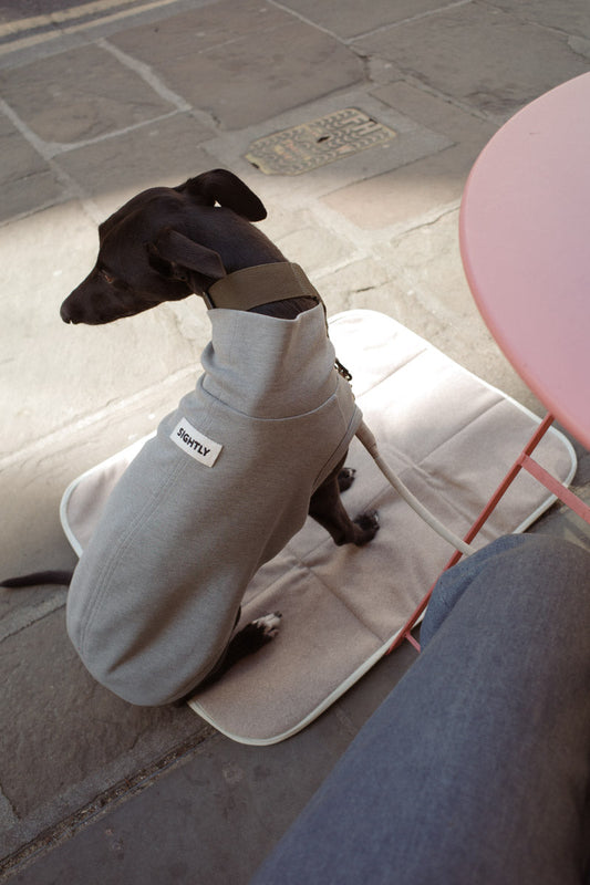 Why Every Dog Needs a Settle Mat: A Calm Companion for Life's Adventures 🌿