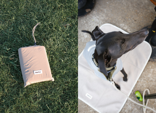 Travel Mat for Dogs