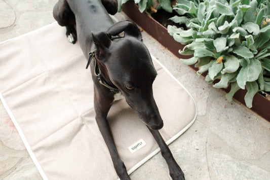 Settle Mat for Dogs