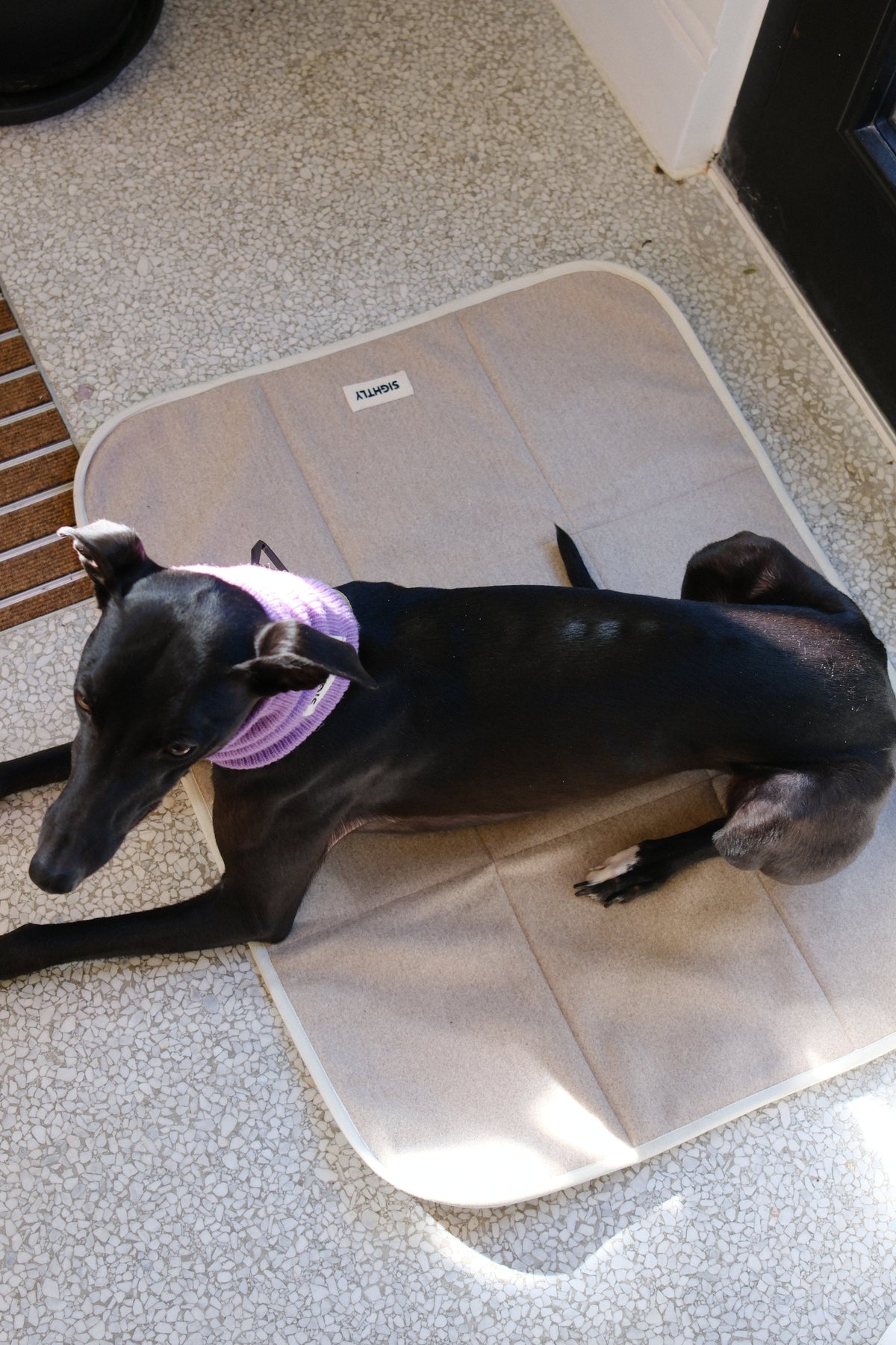 Travel Mat