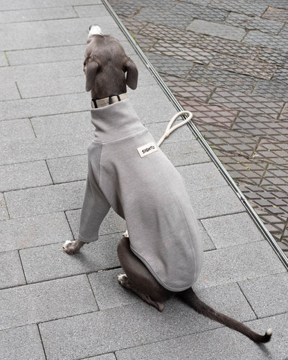 The back view of a blue whippet in the  2-Legged Whippet Jumper in Grey
