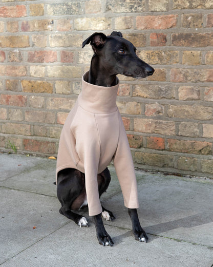 A black whippet in the 2-Legged  Whippet Jumper in Beige