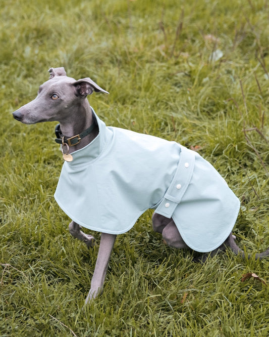 Italian Greyhound Waterproof Raincoat