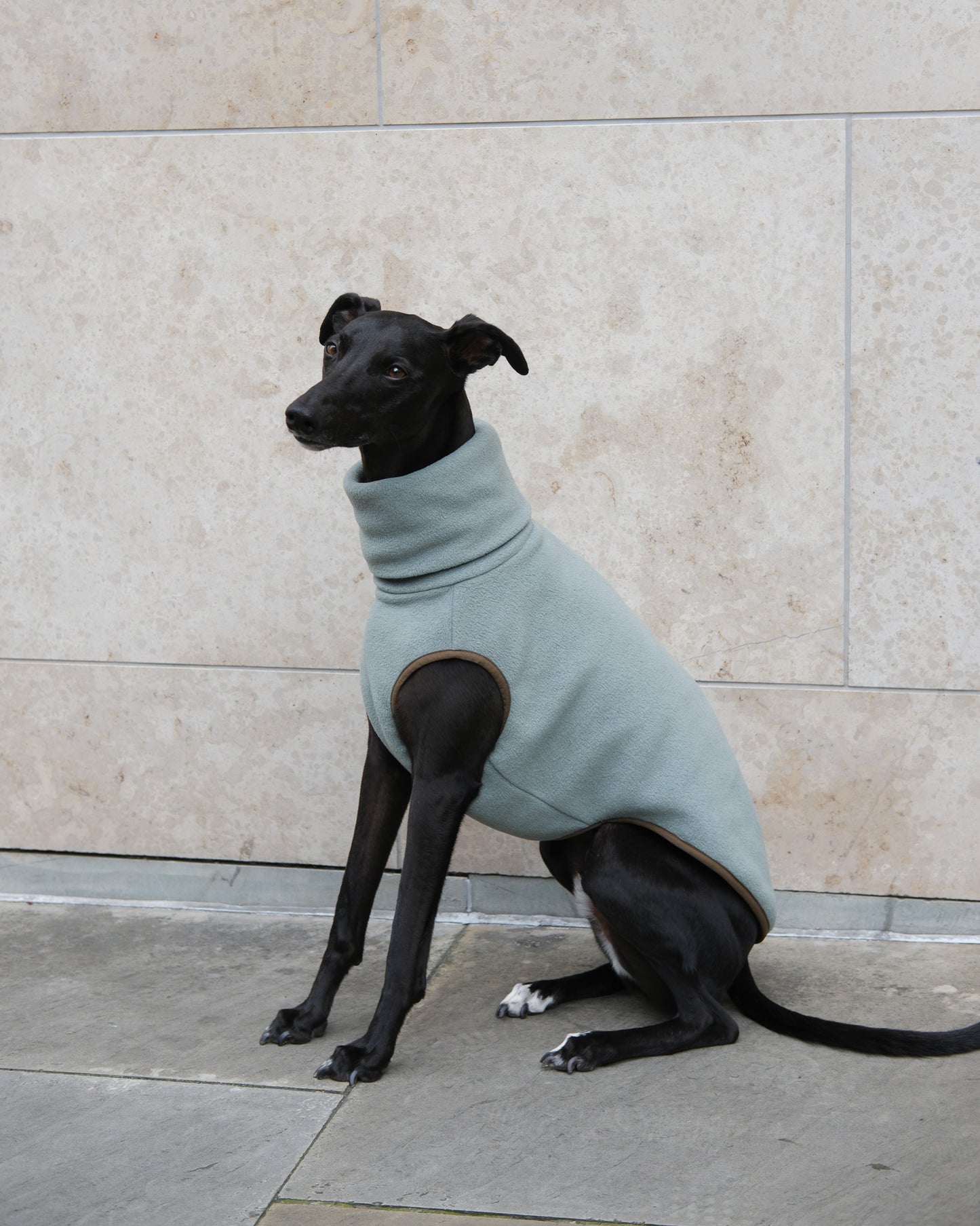 Italian Greyhound Fleece