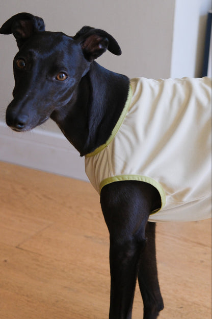 Dog Cooling Vest 2.0