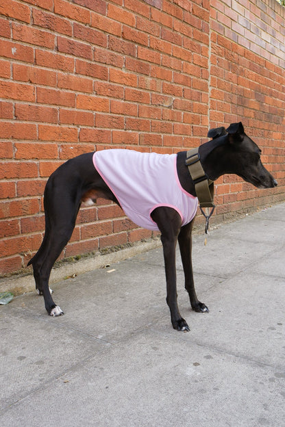 Pink dog cooling vest