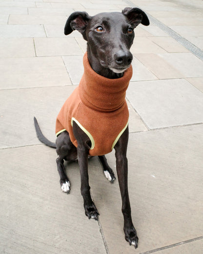 Italian Greyhound Fleece