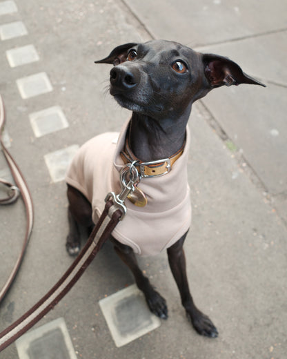 Italian Greyhound Sleeveless Jumper