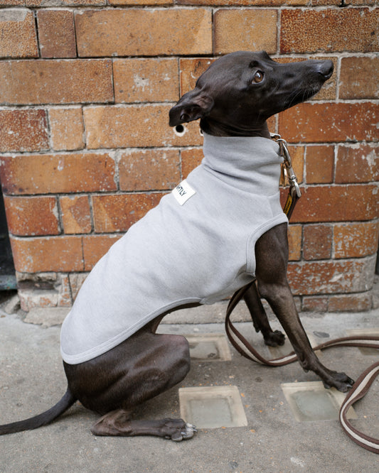 Italian Greyhound Sleeveless Jumper