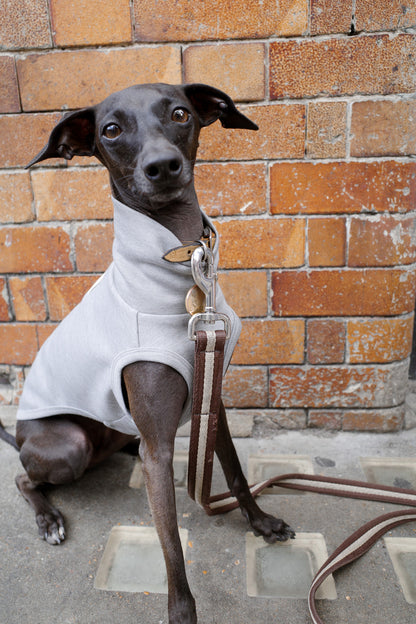 Italian Greyhound Sleeveless Jumper