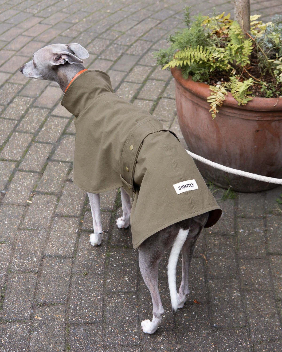 Lightweight Whippet Waterproof Raincoat in Olive