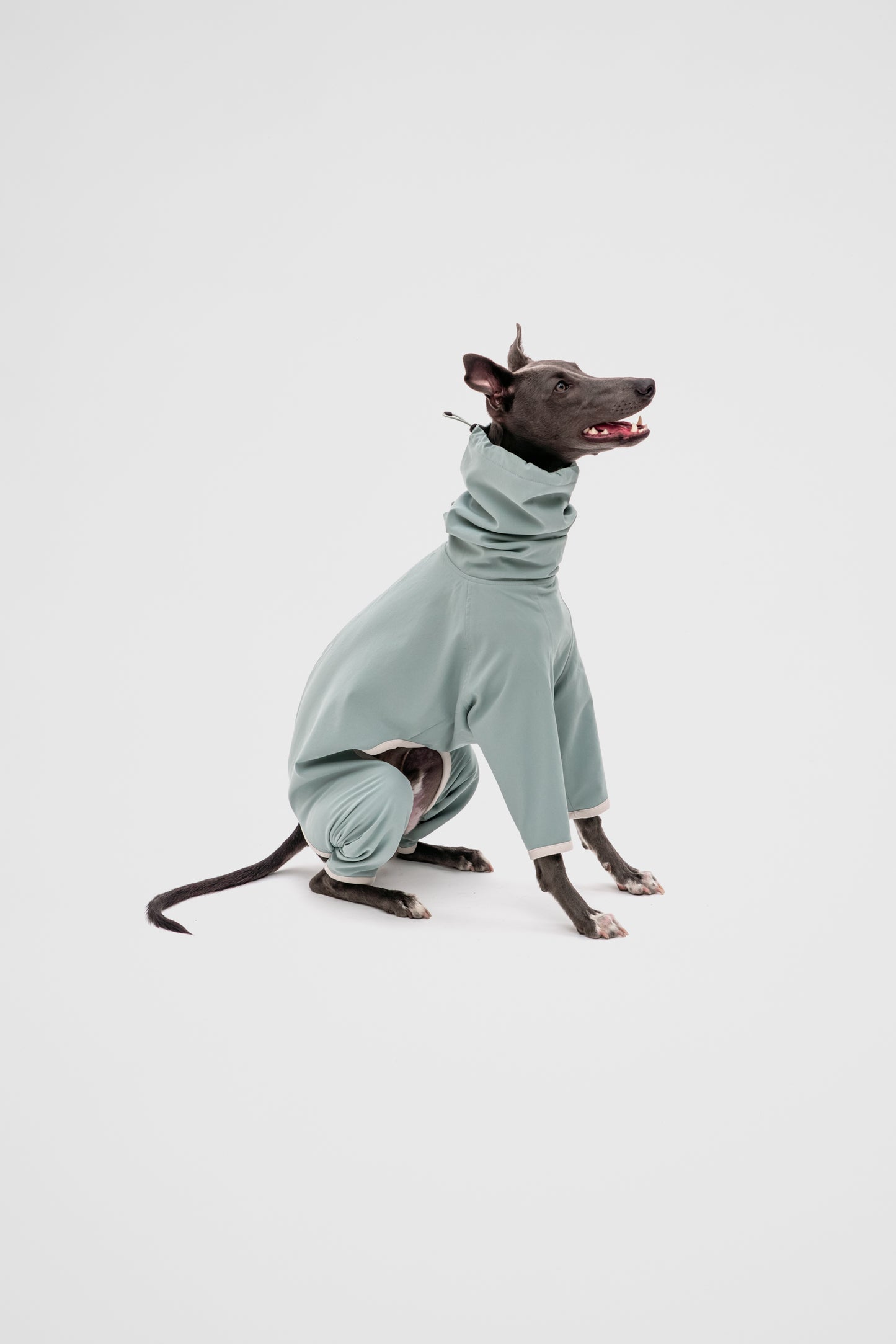 4-Legged Raincoat in Teal
