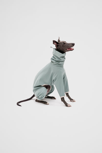 4-Legged Raincoat in Teal