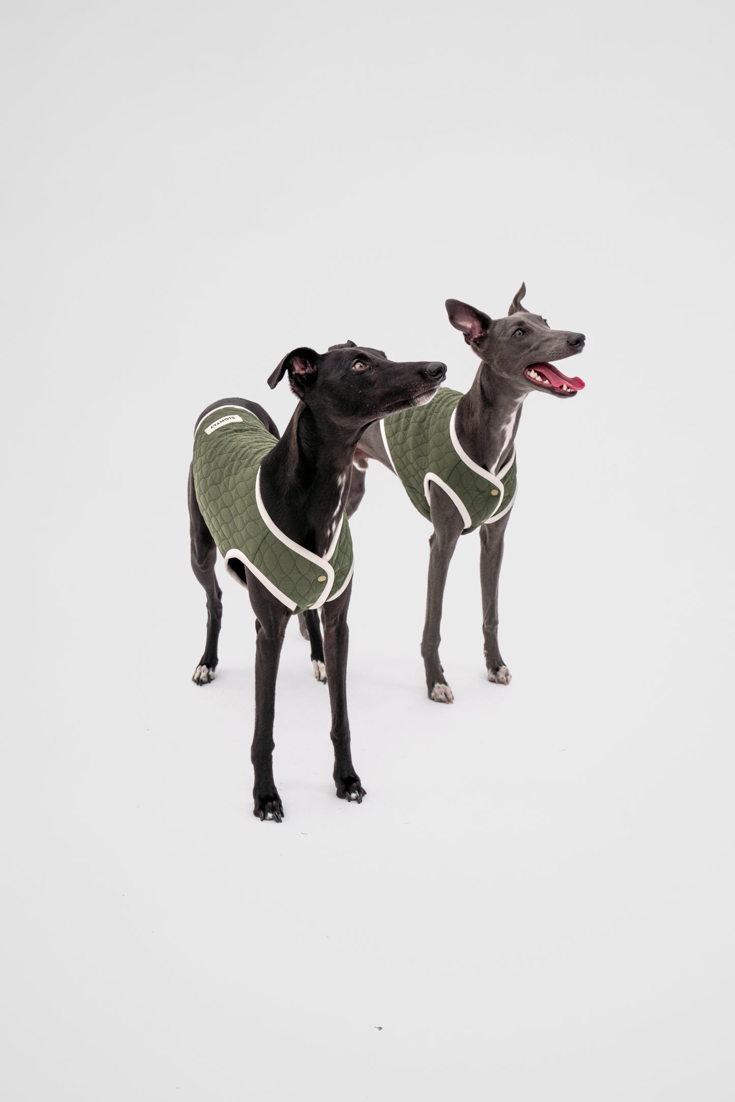 Dog Quilted Vest in Green