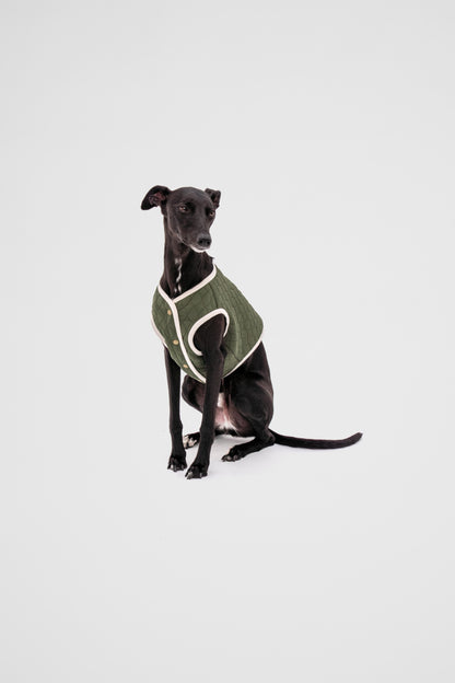 Dog Quilted Vest in Green