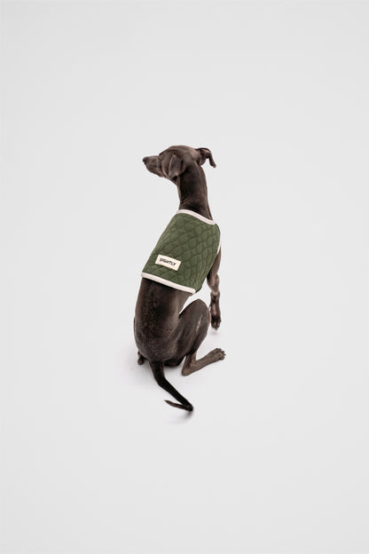 Italian Greyhound Quilted Vest