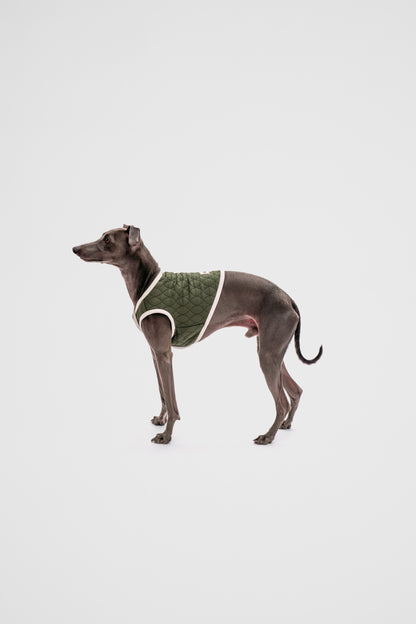 Italian Greyhound Quilted Vest