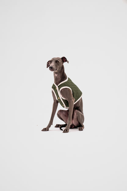 Italian Greyhound Quilted Vest