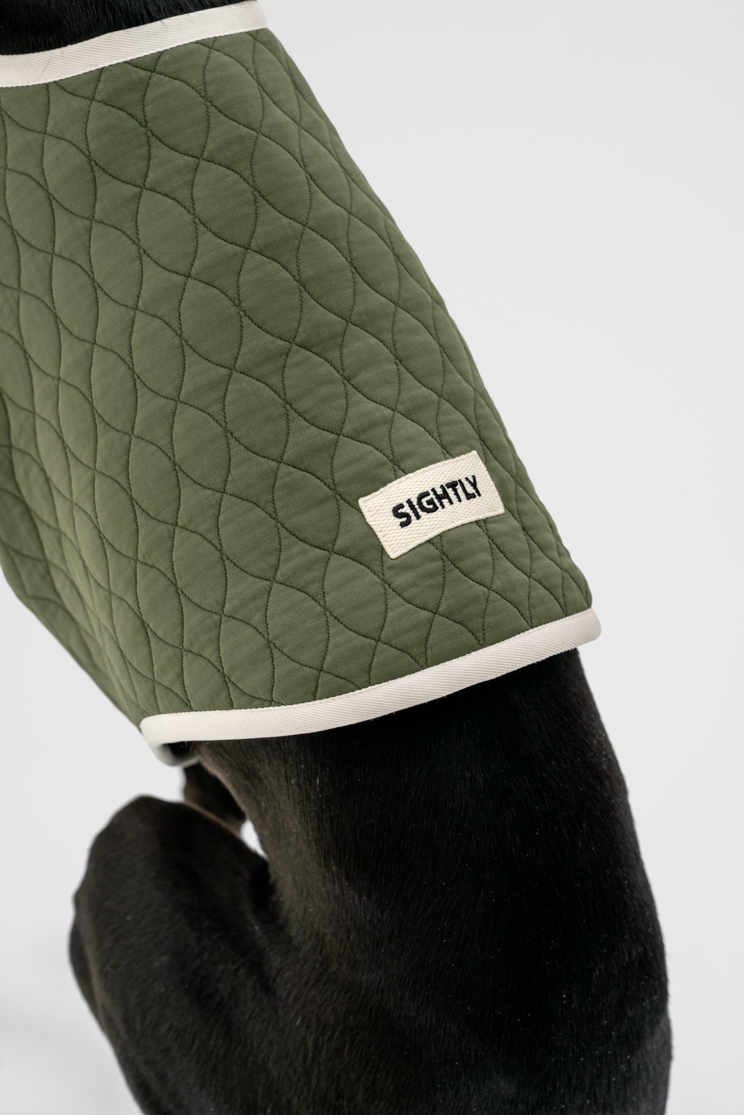 Dog Quilted Vest in Green