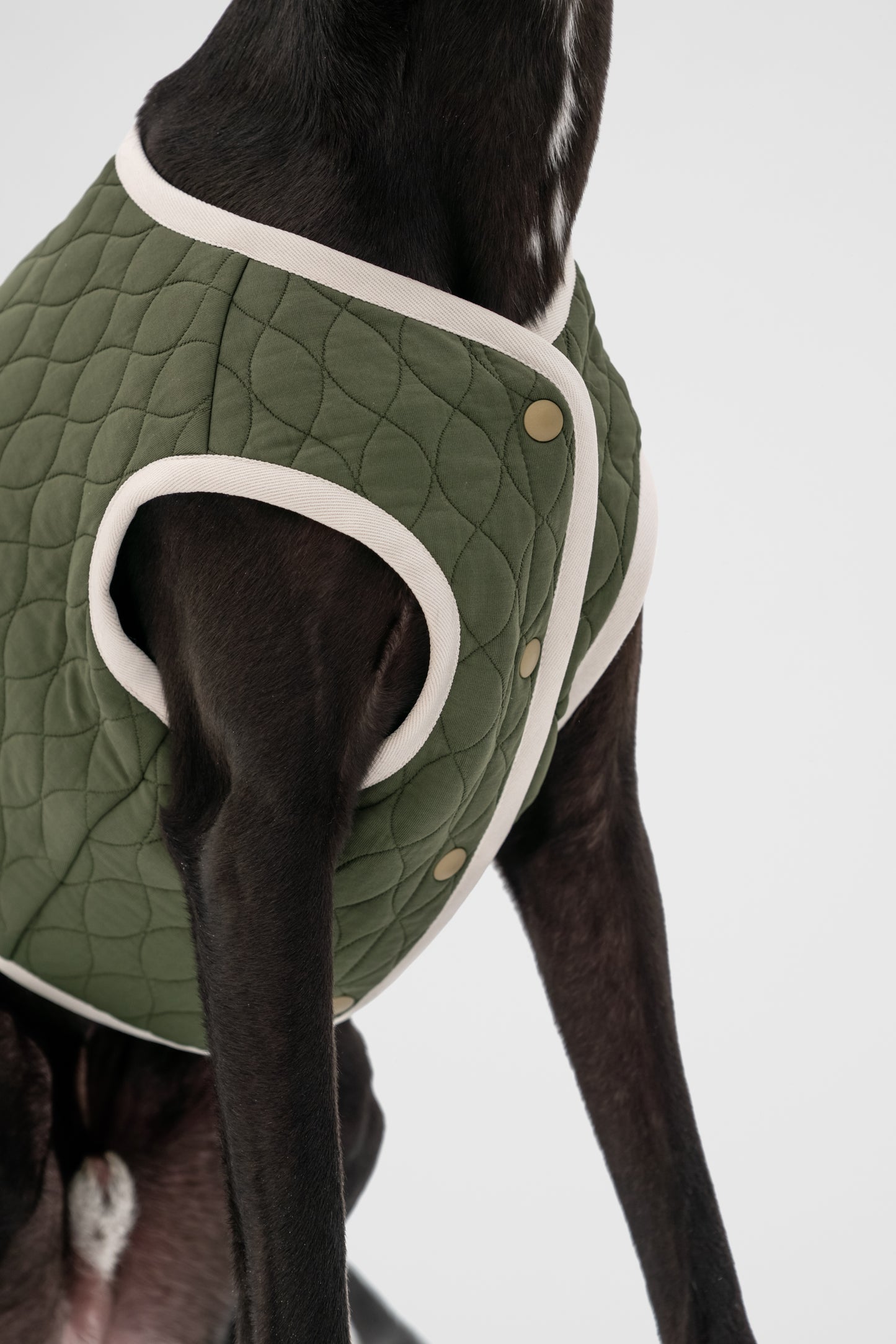 Dog Quilted Vest in Green