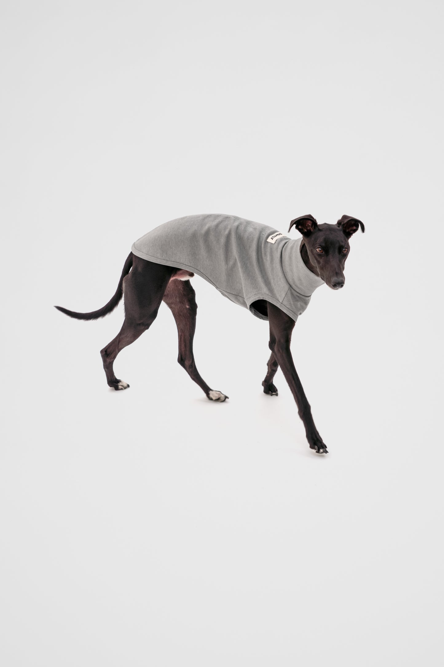 Italian Greyhound Sleeveless Jumper