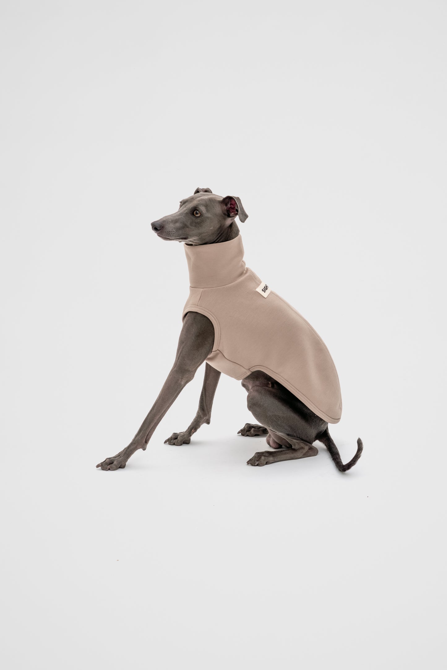 Italian Greyhound Sleeveless Jumper