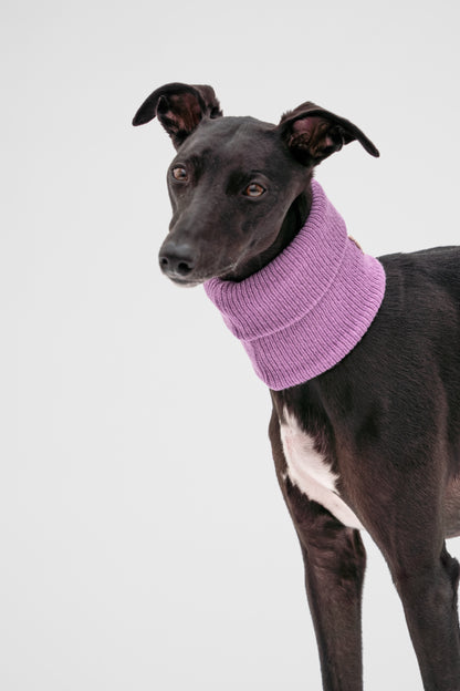 Whippet Snood