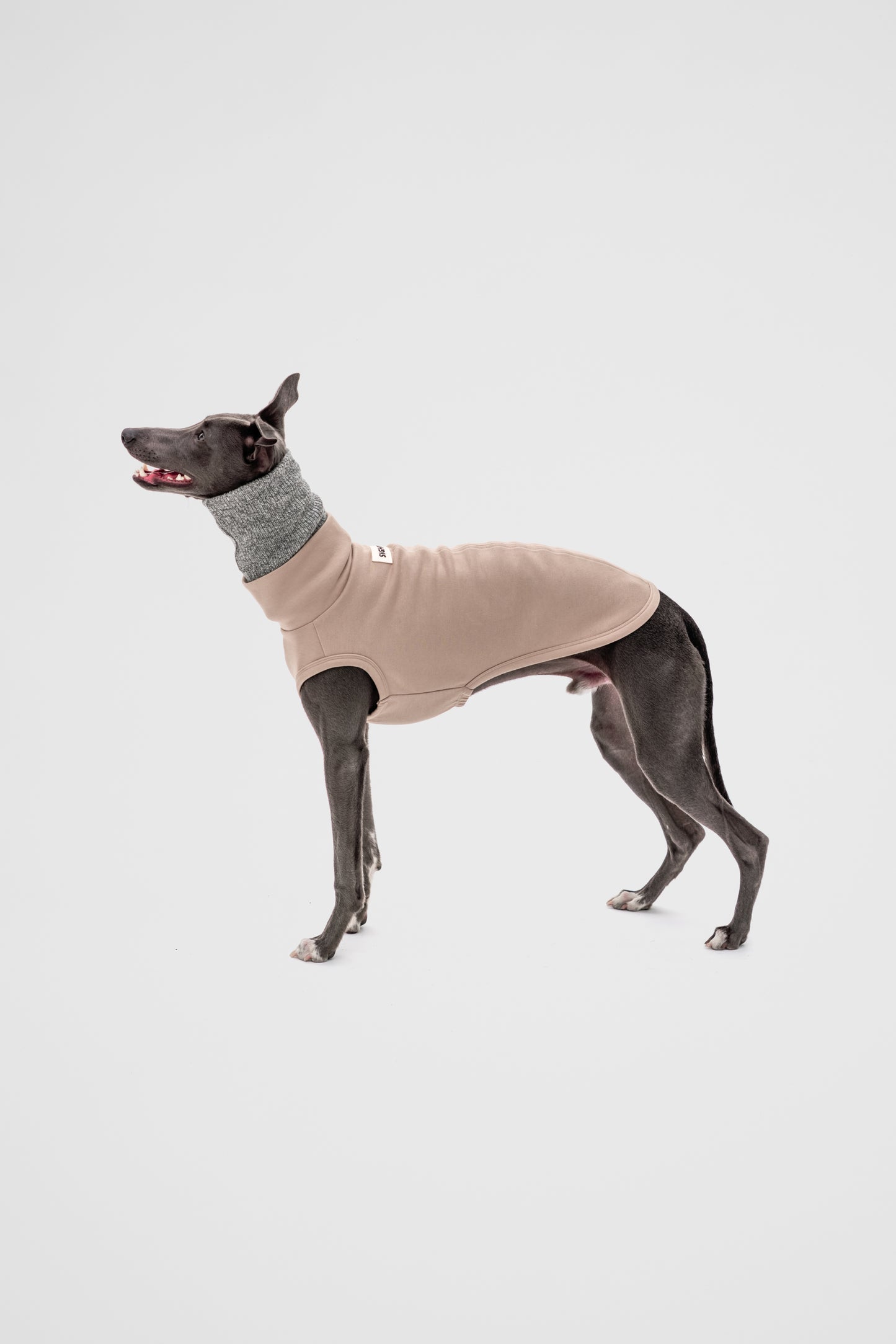 Whippet Snood
