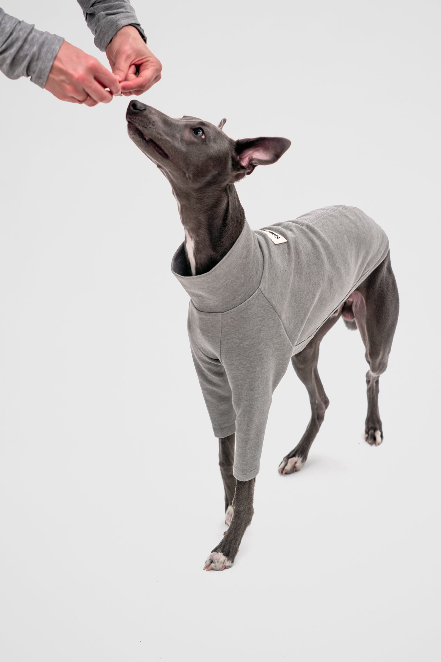 2-Legged Jumper in Grey