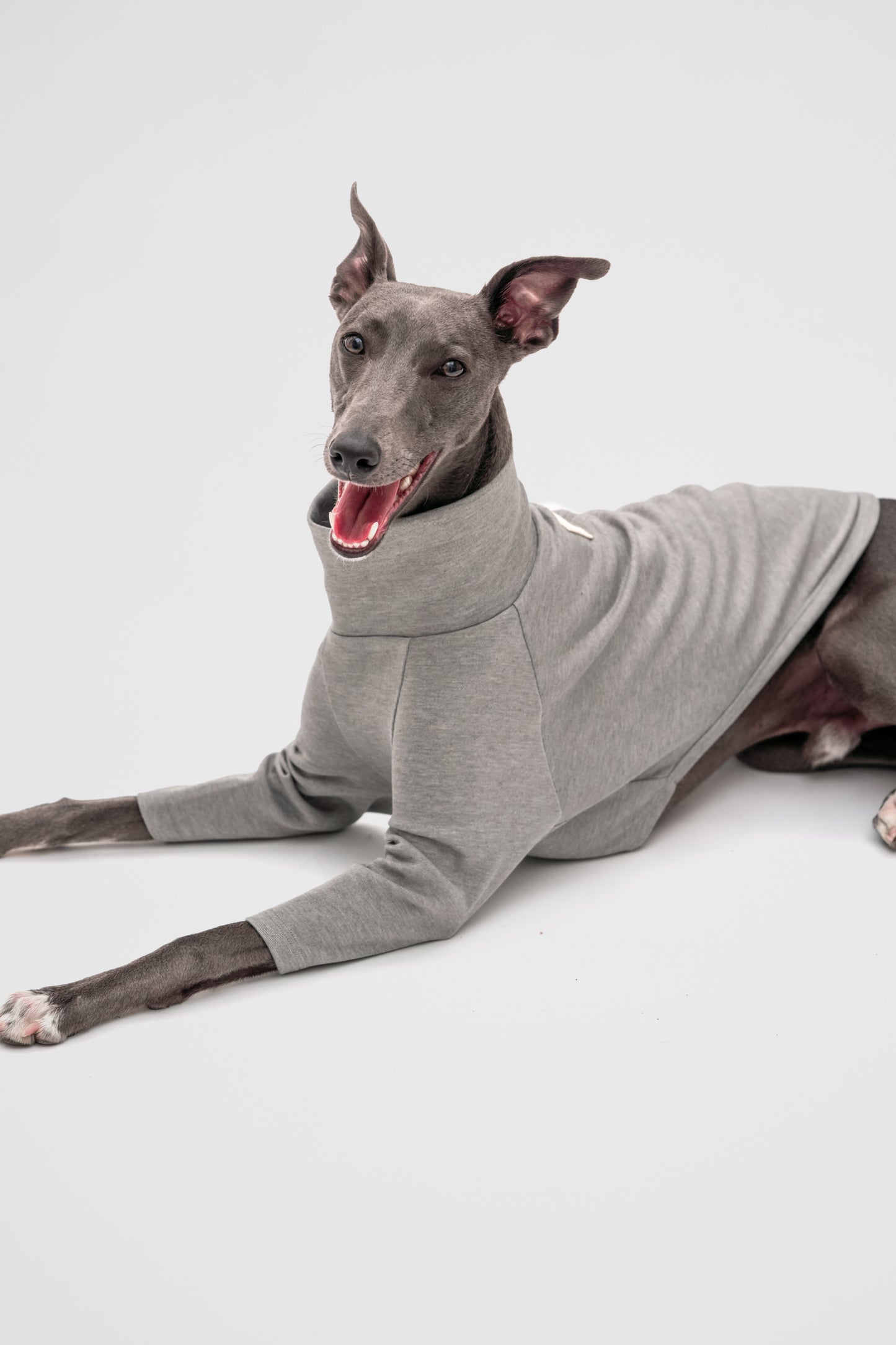 2-Legged Jumper in Grey