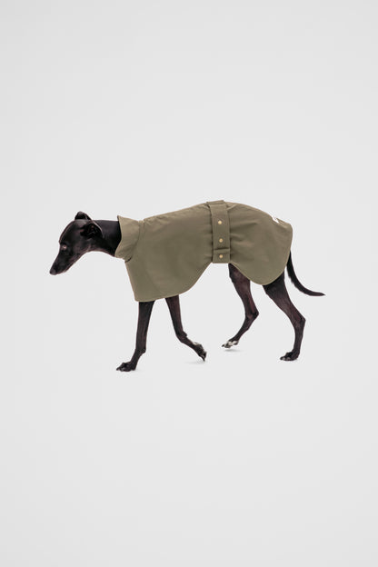 Waterproof Raincoat in Olive