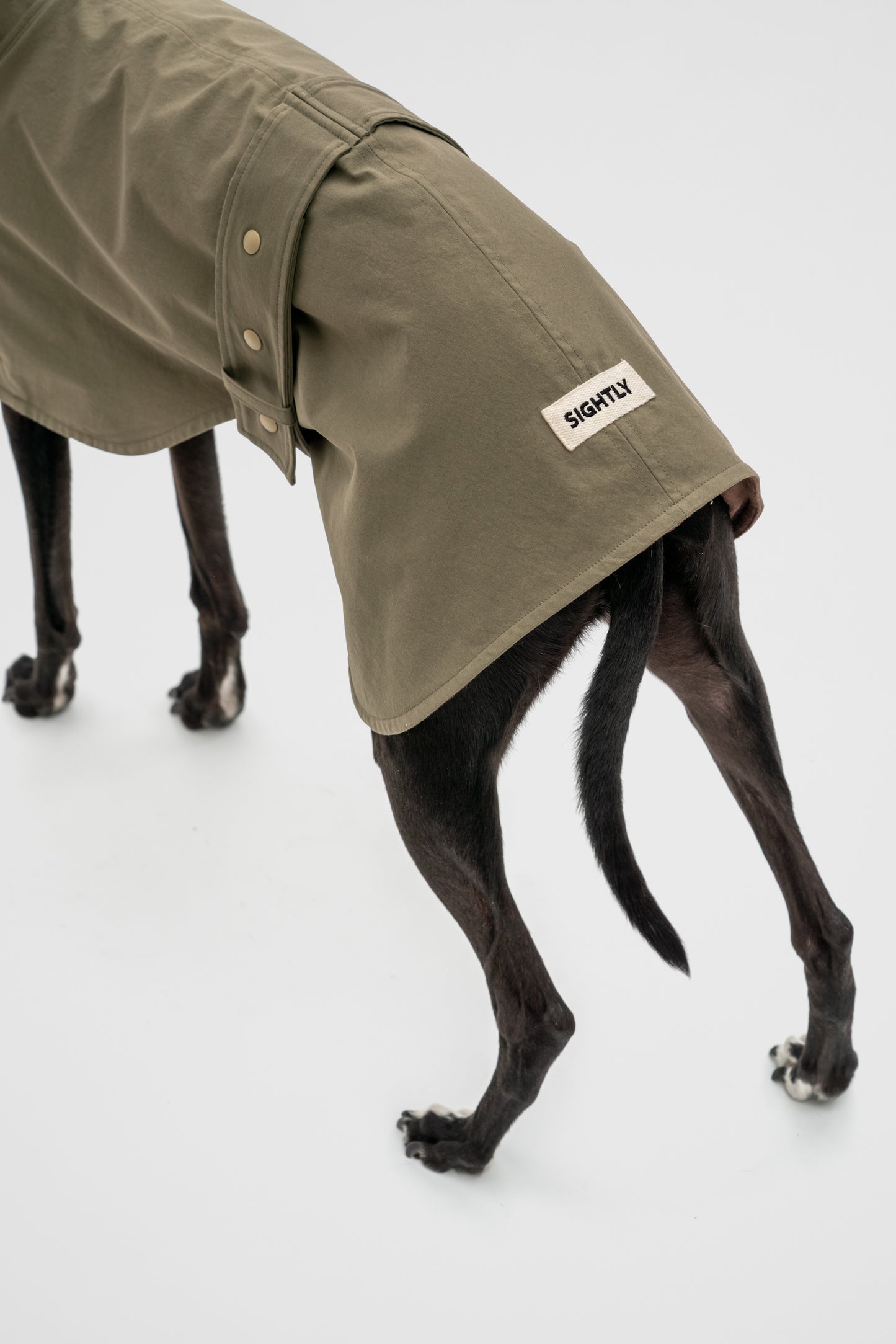 Waterproof Raincoat in Olive