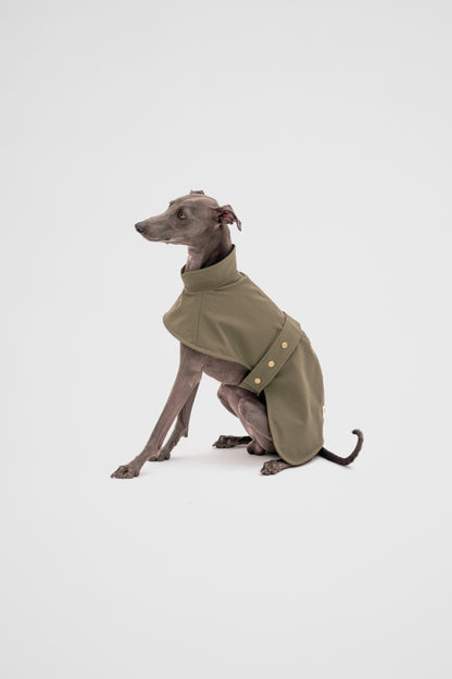 Italian Greyhound Waterproof Raincoat