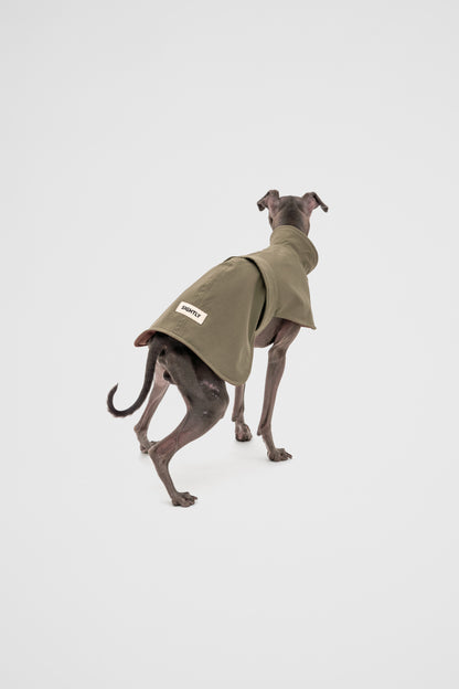 Italian Greyhound Waterproof Raincoat