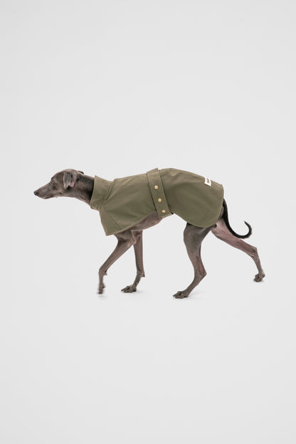 Italian Greyhound Waterproof Raincoat