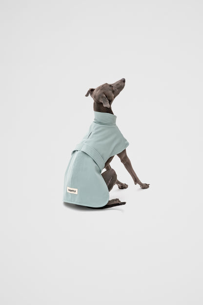 Italian Greyhound Waterproof Raincoat