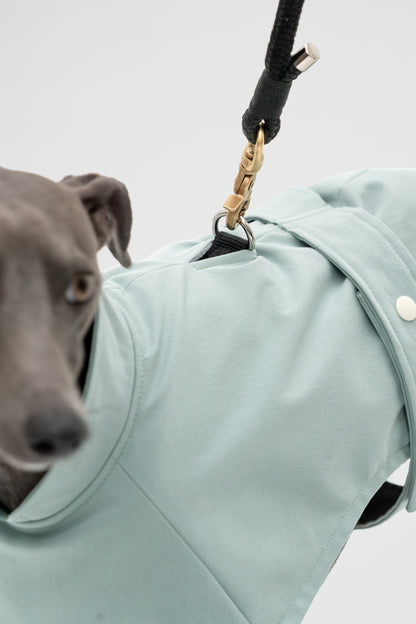 Italian Greyhound Waterproof Raincoat