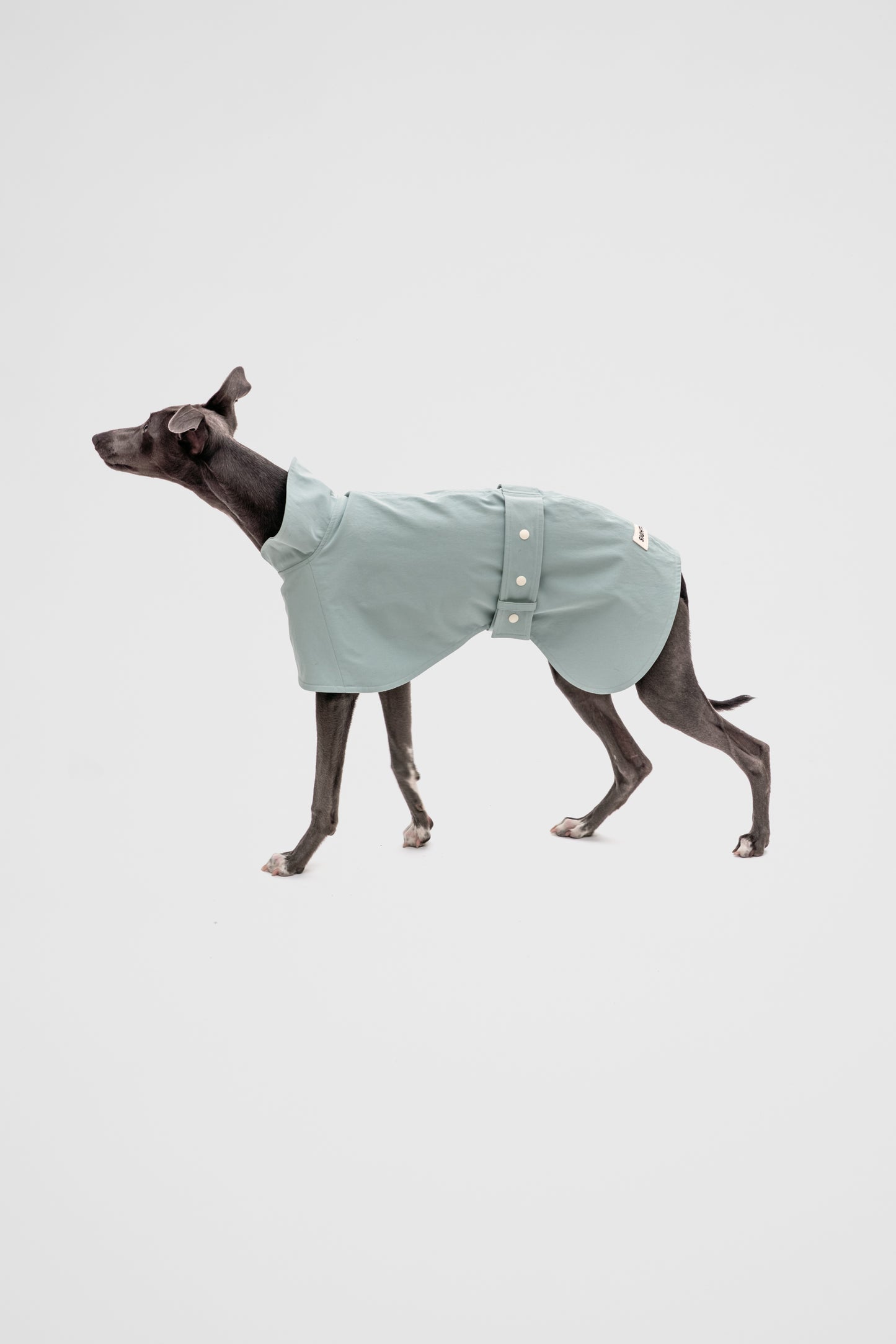 Waterproof Raincoat in Teal