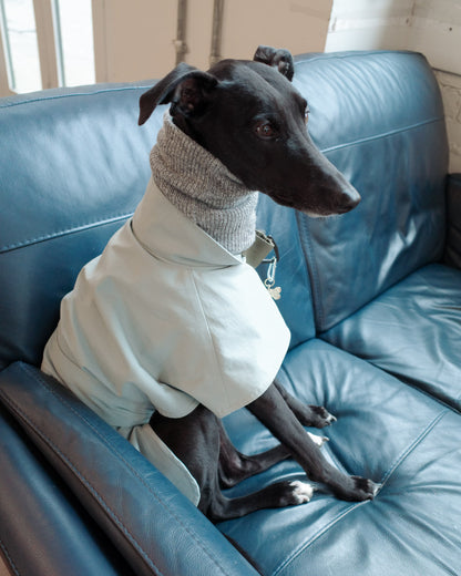 Grey whippet snood pairing with the Sightly Whippet Raincoat in Teal