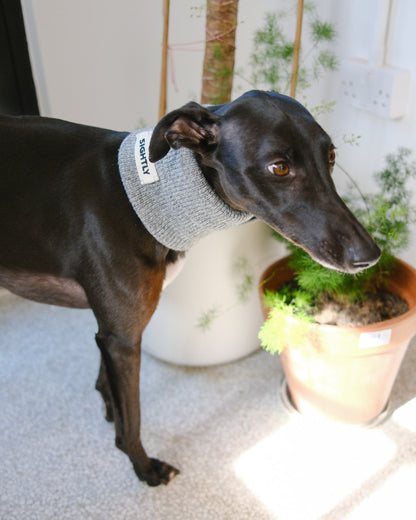 Whippet accessories - Grey whippet snood
