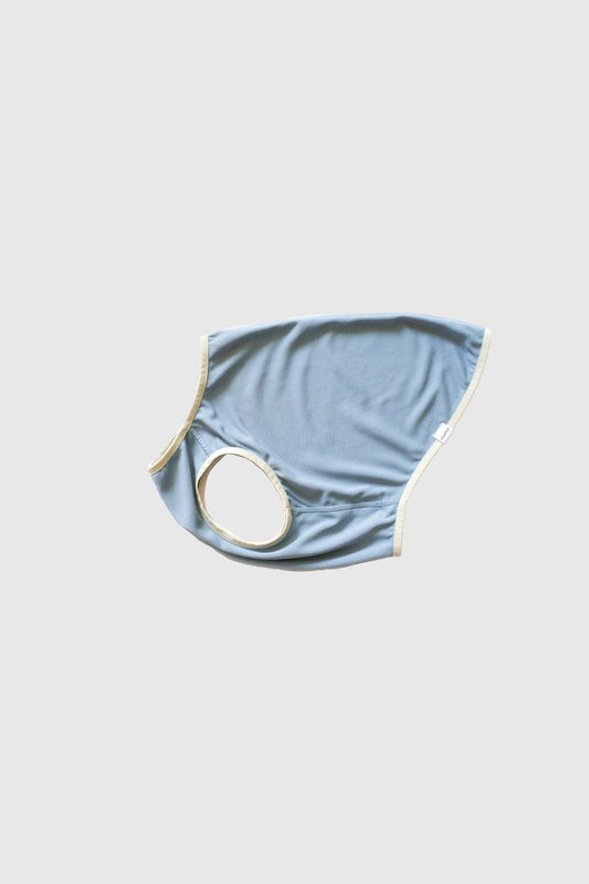 Dog Cooling Vest 2.0